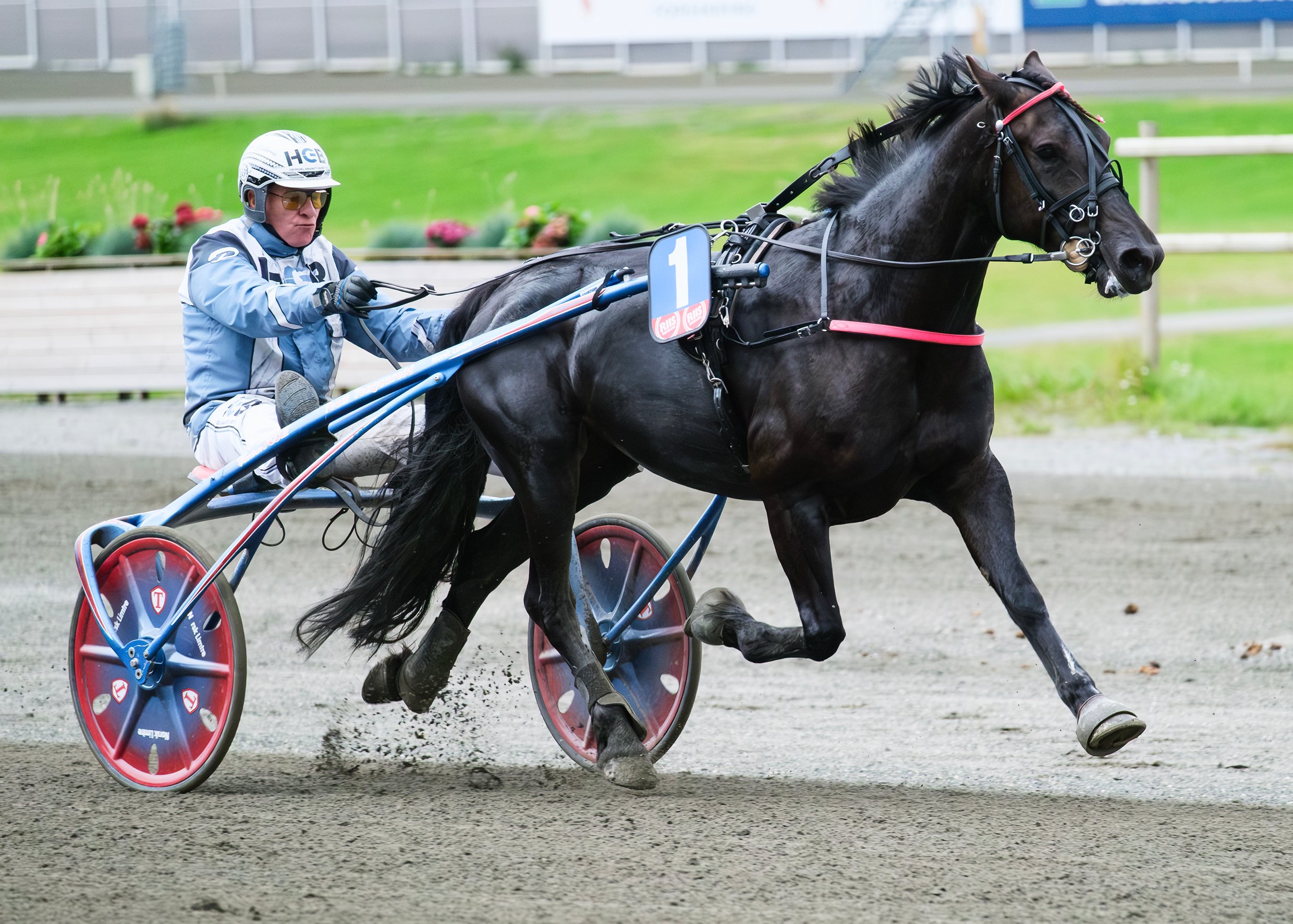 Alm Vinni1sept25_14968.jpg