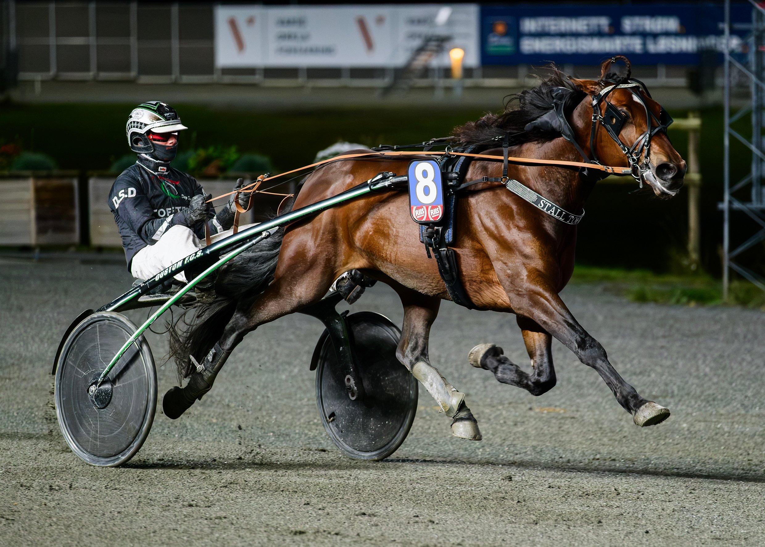 Tom The Brady27okt25_22972.jpg