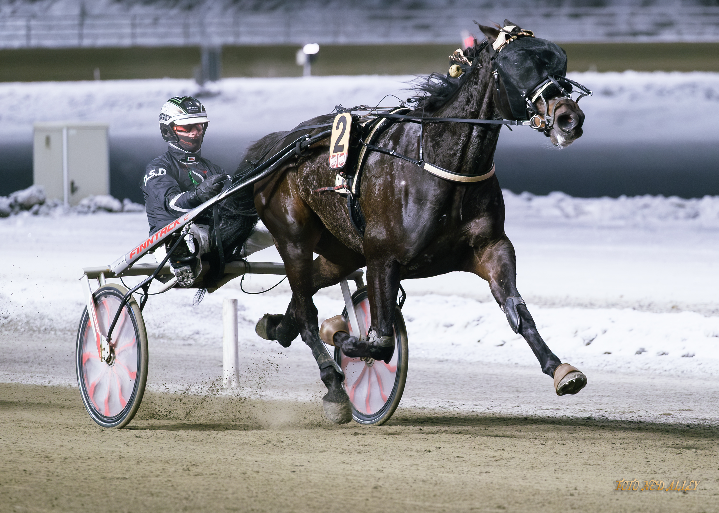 Harpos NY7des2025_31841.jpg