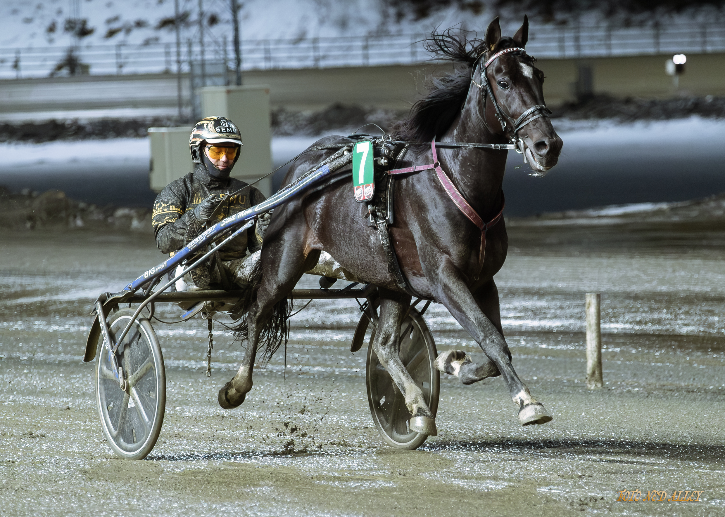 Moni USA20des2025_34122.jpg