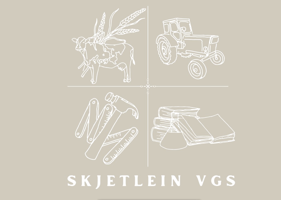Logo Skjetlein .jpg